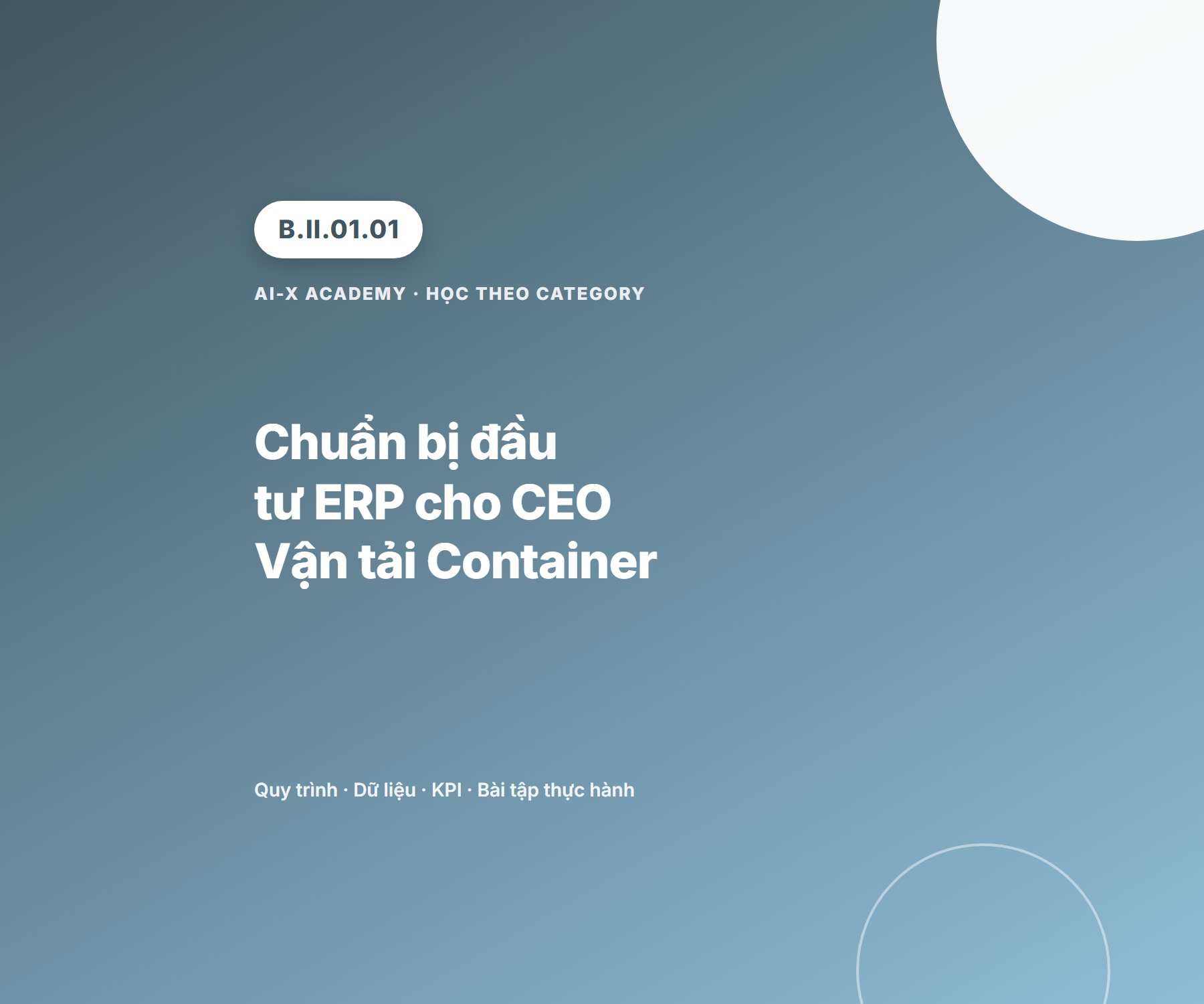 B.II.01.01 - Chuẩn bị đầu tư ERP cho CEO Vận tải Container