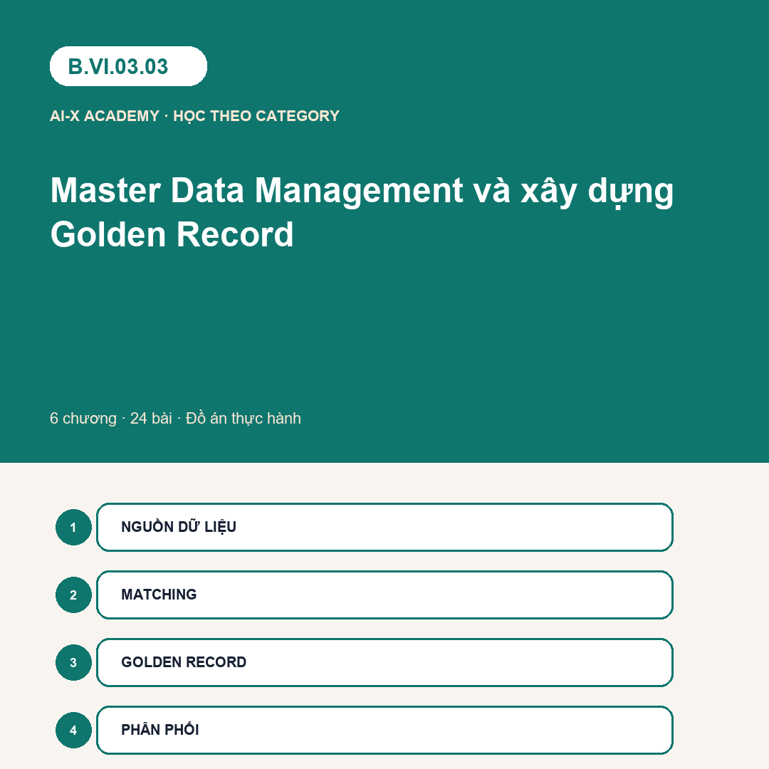 B.VI.03.03 — Master Data Management và xây dựng Golden Record